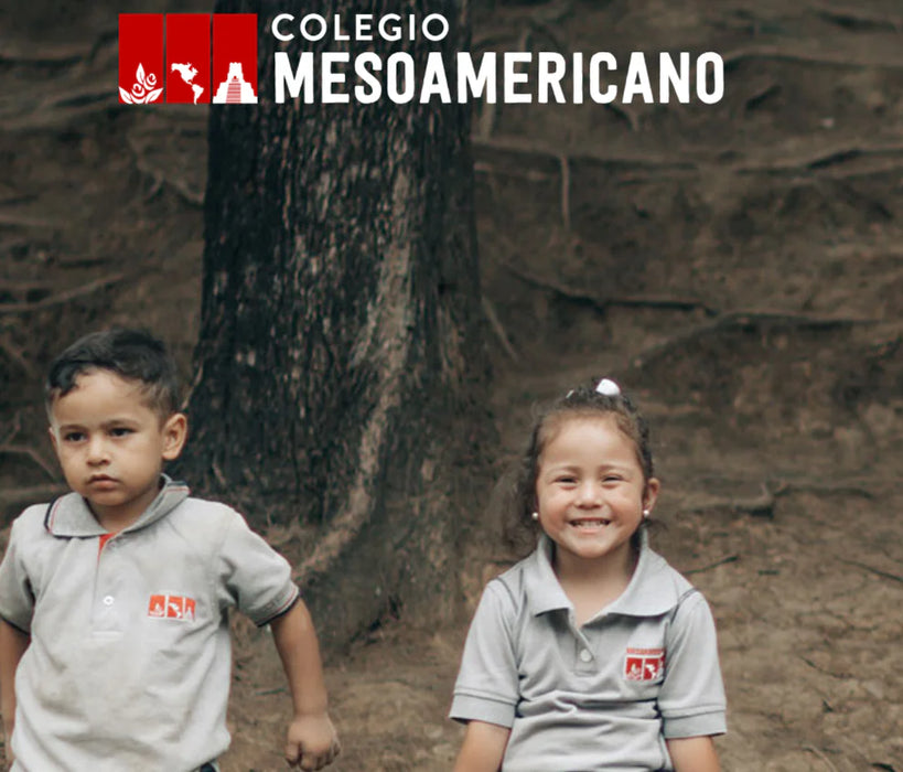 Kit Mesoamericano décimo